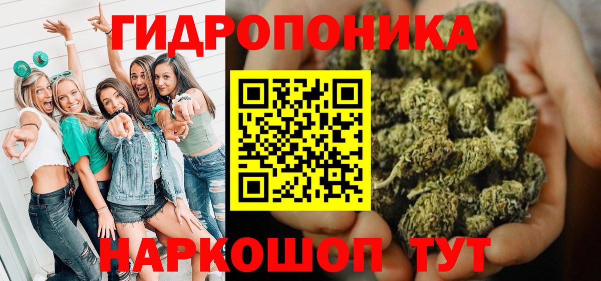 Бошки Шишки SATIVA & INDICA  Вход с VPN  Фурманов  МАРИХУАНА OG Kush 
